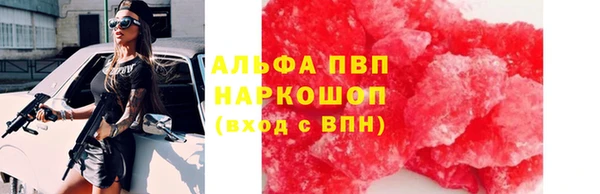 эйфоретик Беломорск