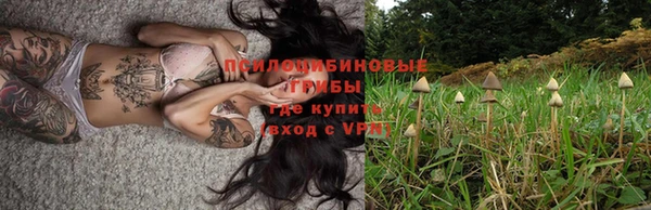 эйфоретик Беломорск
